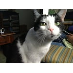 Image 3 of customer photos