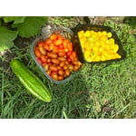 Image 3 of customer photos