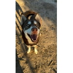 Image 2 of customer photos