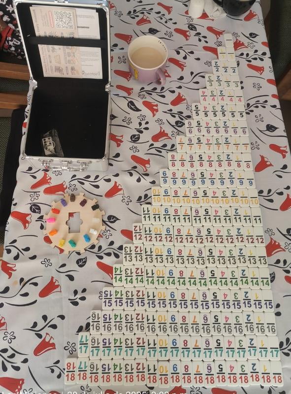 Queensell Dominó Tren Mexicano Doble 15 | 136 Fichas Con Puntos | Juego Familiar En Maletín De Aluminio | Adultos
