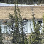 Image 3 of customer photos