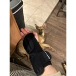 Image 5 of customer photos