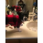 Image 1 of customer photos