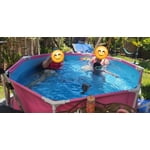 Image 6 of customer photos