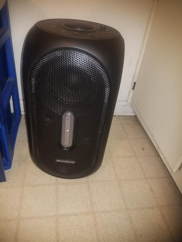 rave speaker walmart