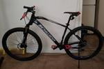 schwinn bike 29
