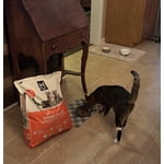 Image 1 of customer photos