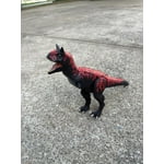 Image 1 of customer photos