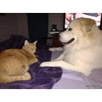 Image 7 of customer photos