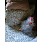 Image 4 of customer photos