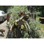 Image 4 of customer photos