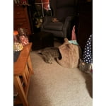 Image 5 of customer photos