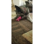 Image 4 of customer photos