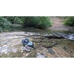 Image 7 of customer photos