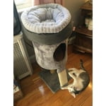 Image 1 of customer photos