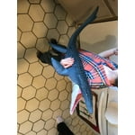 Image 5 of customer photos