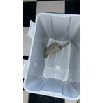 Image 5 of customer photos