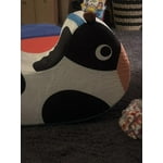 Image 7 of customer photos