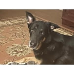 Image 2 of customer photos