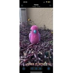 Image 5 of customer photos