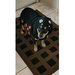 Image 5 of customer photos