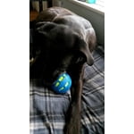 Image 6 of customer photos