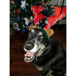 Image 5 of customer photos