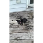 Image 3 of customer photos