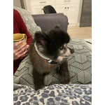 Image 5 of customer photos