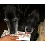 Image 2 of customer photos