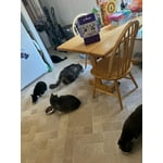 Image 3 of customer photos