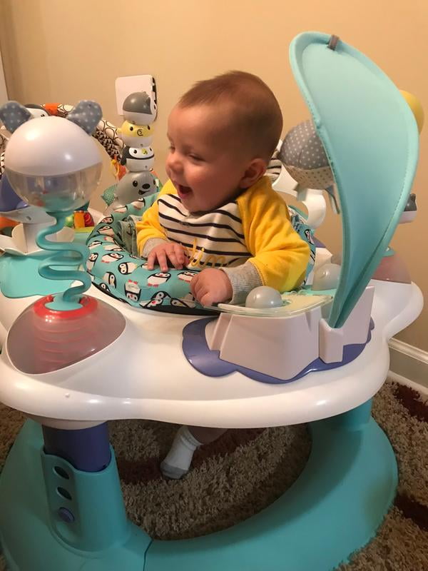 penguin exersaucer