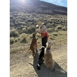 Image 3 of customer photos