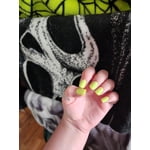 Image 7 of customer photos