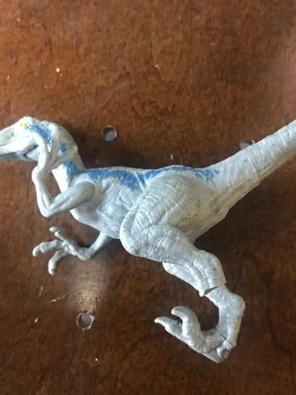 Jurassic World Fallen Kingdom Velociraptor Blue Action Figure Walmart Com Walmart Com Jurassic World Fallen Kingdom Velociraptor Blue Action Figure Walmart Com Walmart Com