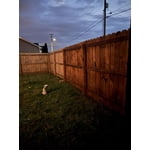 Image 4 of customer photos