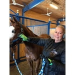 Image 6 of customer photos