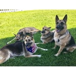 Image 4 of customer photos