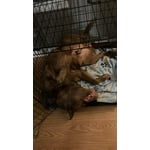 Image 5 of customer photos