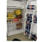 TINKLE WELL 3.2 Cu Ft Mini Fridge with Freezer, Compact Single Door