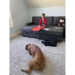Image 1 of customer photos