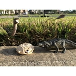 Image 7 of customer photos