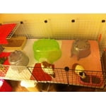 Image 5 of customer photos