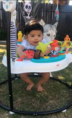 animal wonders jumperoo