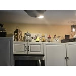 Image 1 of customer photos