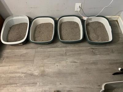 average cat litter box size Neakasa M1 Self-Cleaning Cat Litter Box