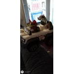 Image 1 of customer photos