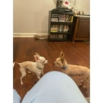 Image 1 of customer photos