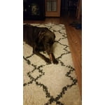 Image 6 of customer photos