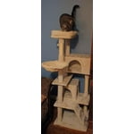 Image 5 of customer photos